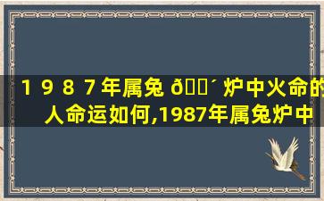 １９８７年属兔 🌴 炉中火命的人命运如何,1987年属兔炉中火命的人命运如何啊